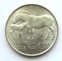 Przewalskis Pferd