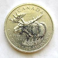 Elk