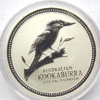 Kookaburra