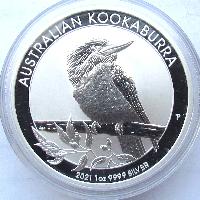 Kookaburra