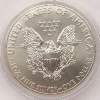 Spojené státy 1 $ - 1 oz. 2013