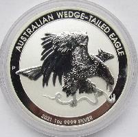 Wedge-Tailed Eagle