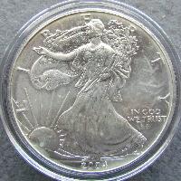 Spojené státy 1 $ - 1 oz. 2004