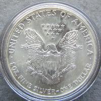Vereinigte Staaten 1 $ - 1 Unze 2004