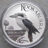 Kookaburra