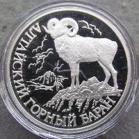 Altai-Bergschafe