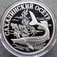 Sakhalin sturgeon