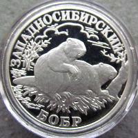 Westsibirischer Biber